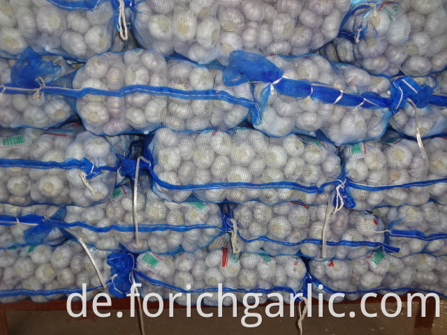 Fresh 2019 Normal White Garlic